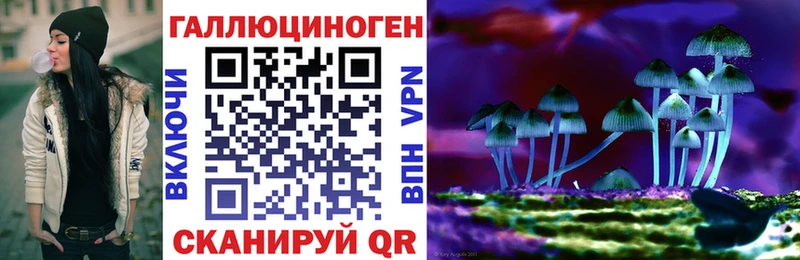 Псилоцибиновые грибы Psilocybe Усть-Кут