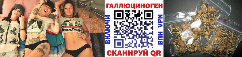 Галлюциногенные грибы Cubensis Усть-Кут